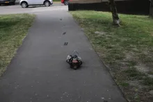 First time out - Ecdysis