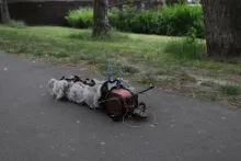 First time out - Ecdysis