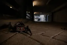 Sheltered - Crawler I