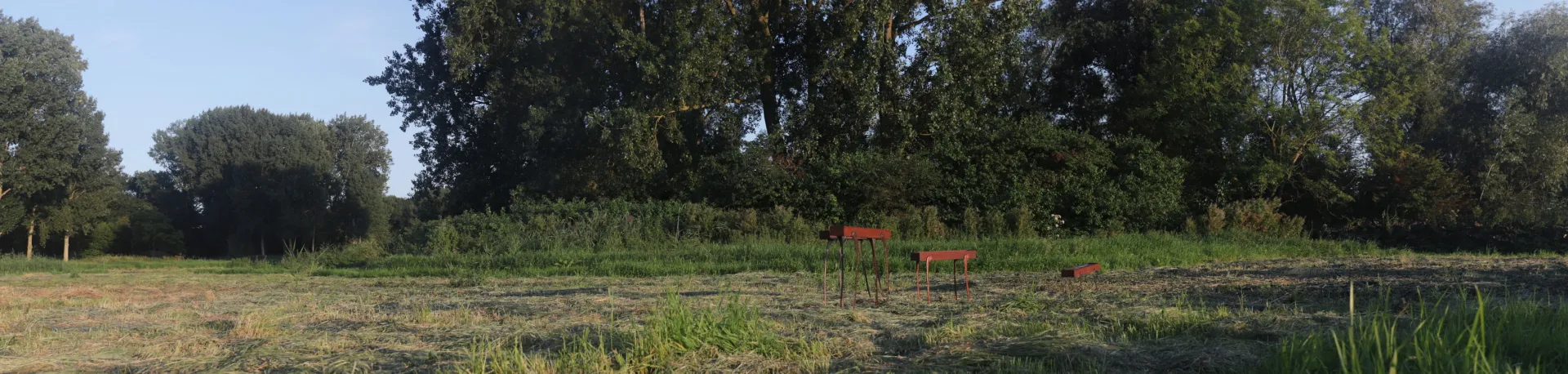 Field - Plastic Panorama